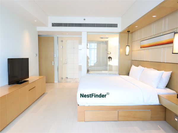 金隅环贸国际公寓