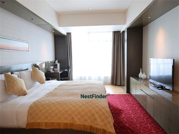 金隅环贸国际公寓